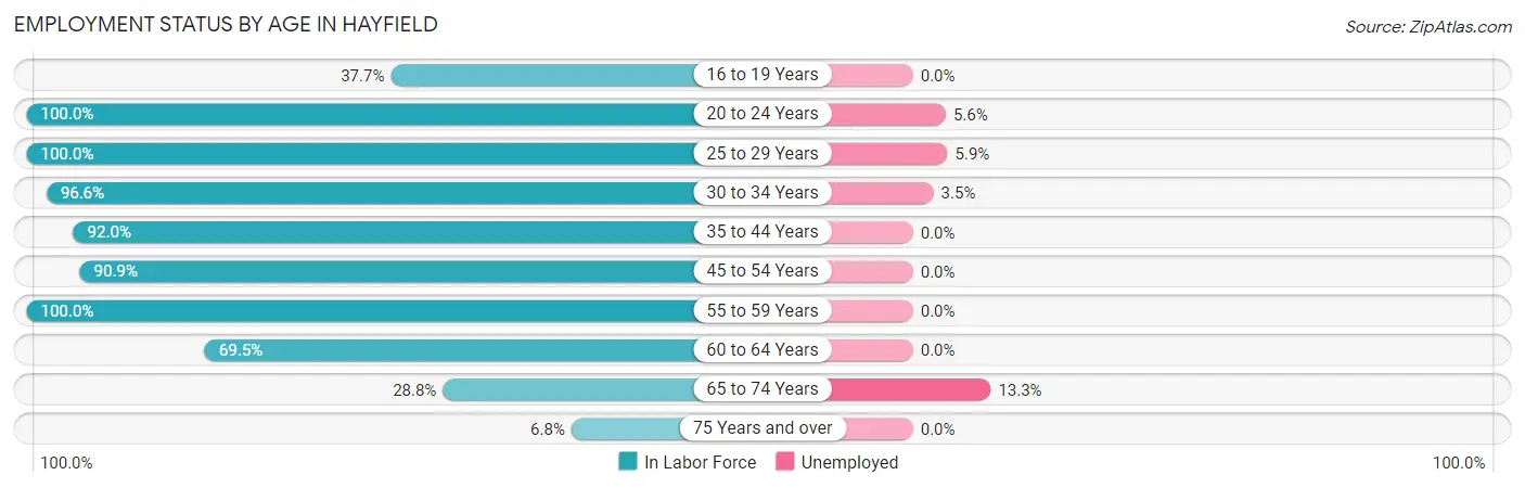 Employment Status by Age in Hayfield