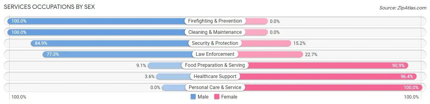 Services Occupations by Sex in Hayfield