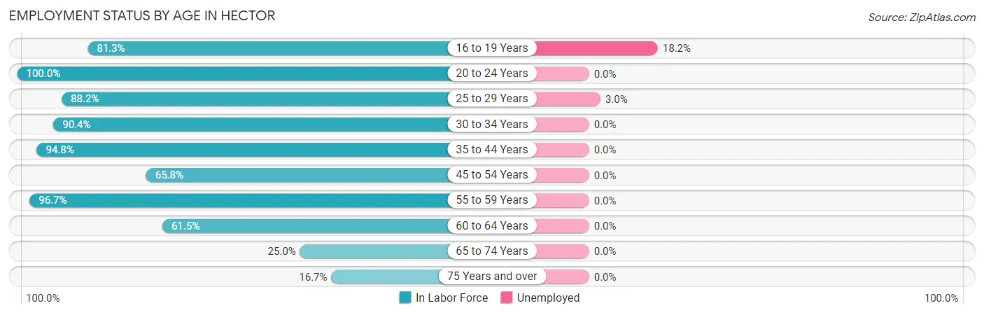 Employment Status by Age in Hector