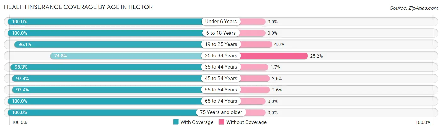 Health Insurance Coverage by Age in Hector
