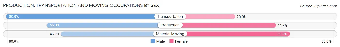 Production, Transportation and Moving Occupations by Sex in Hector