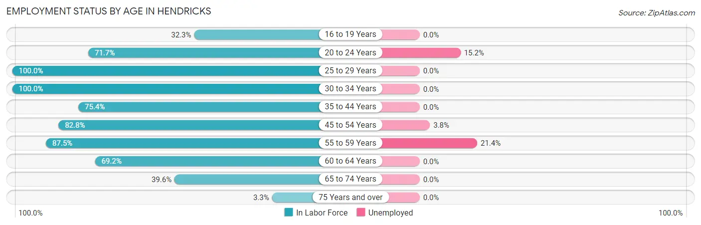 Employment Status by Age in Hendricks