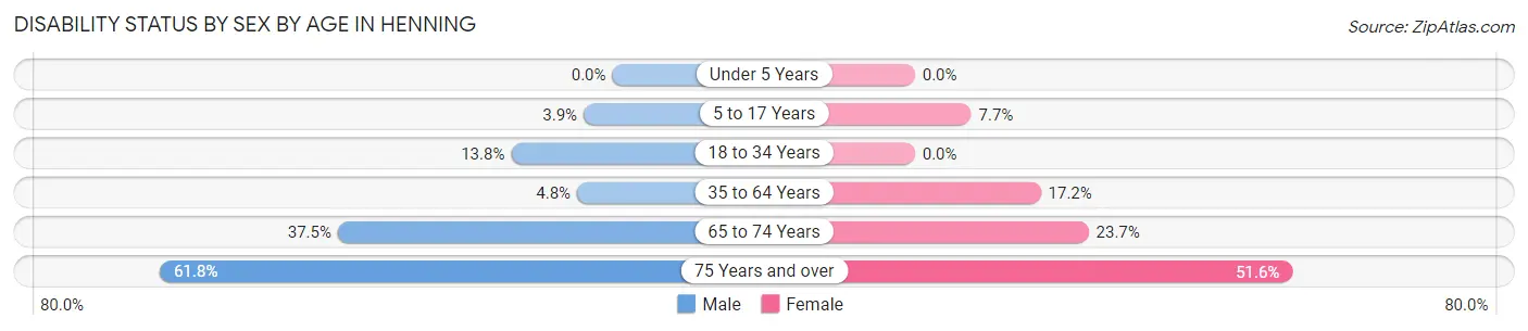 Disability Status by Sex by Age in Henning