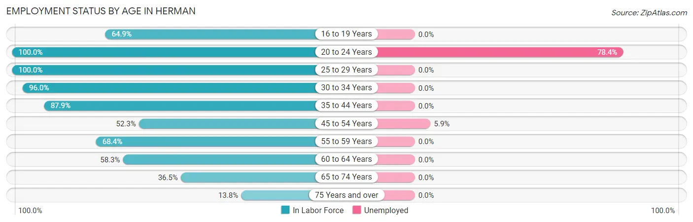 Employment Status by Age in Herman