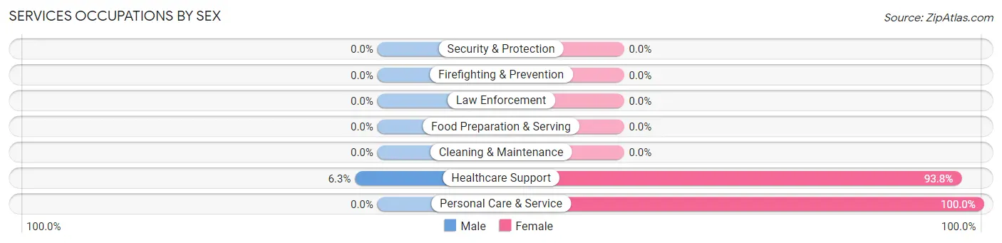 Services Occupations by Sex in Hewitt