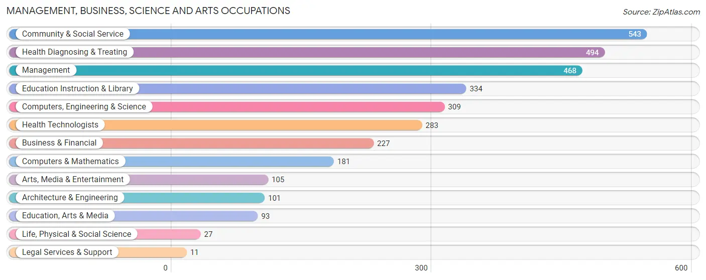 Management, Business, Science and Arts Occupations in Hibbing