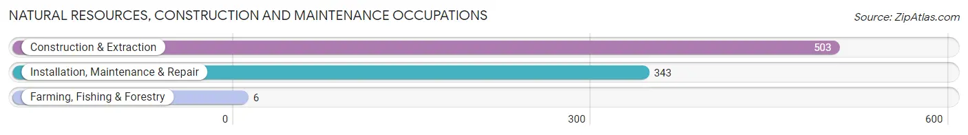 Natural Resources, Construction and Maintenance Occupations in Hibbing