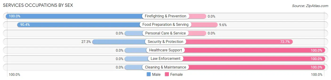 Services Occupations by Sex in Hill City