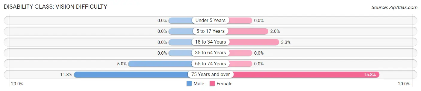 Disability in Hoffman: <span>Vision Difficulty</span>