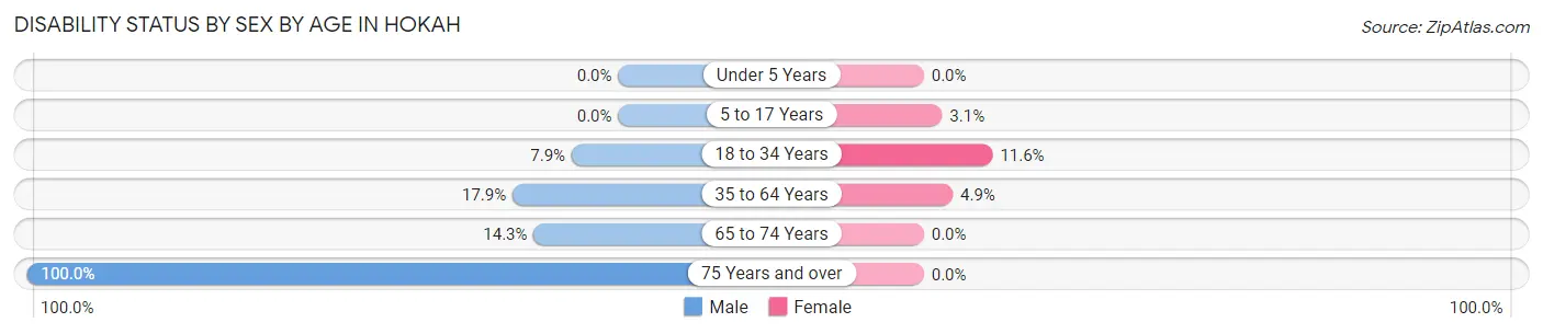 Disability Status by Sex by Age in Hokah