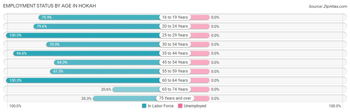 Employment Status by Age in Hokah