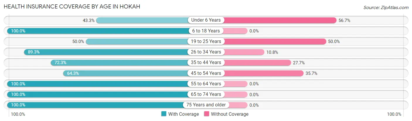 Health Insurance Coverage by Age in Hokah