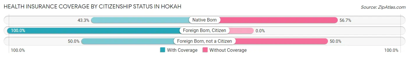 Health Insurance Coverage by Citizenship Status in Hokah