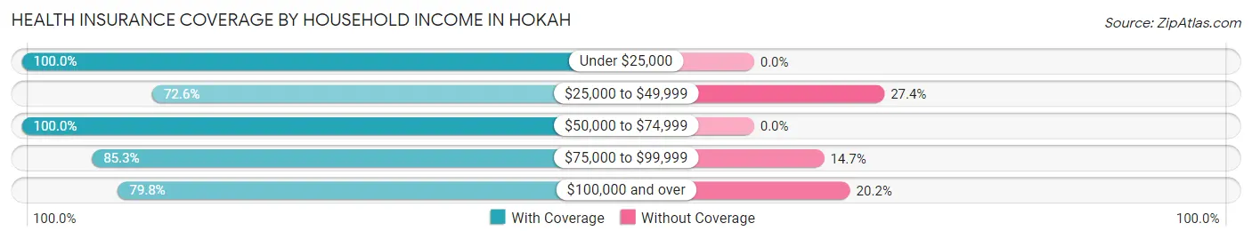 Health Insurance Coverage by Household Income in Hokah