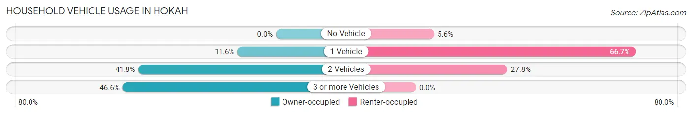 Household Vehicle Usage in Hokah