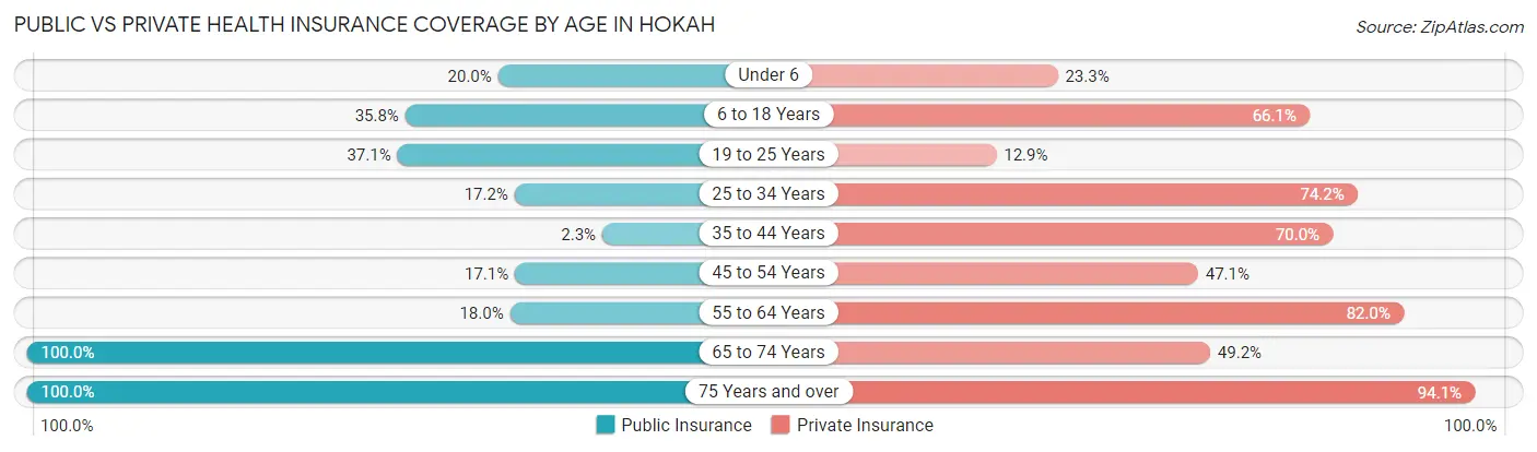 Public vs Private Health Insurance Coverage by Age in Hokah