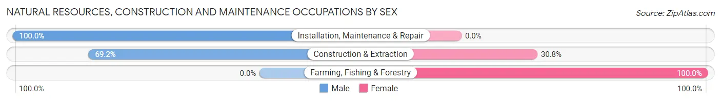 Natural Resources, Construction and Maintenance Occupations by Sex in Holdingford