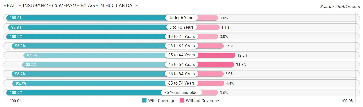 Health Insurance Coverage by Age in Hollandale