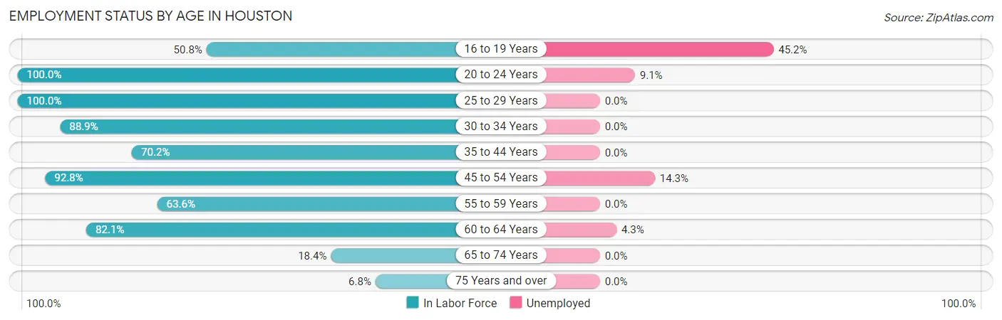 Employment Status by Age in Houston