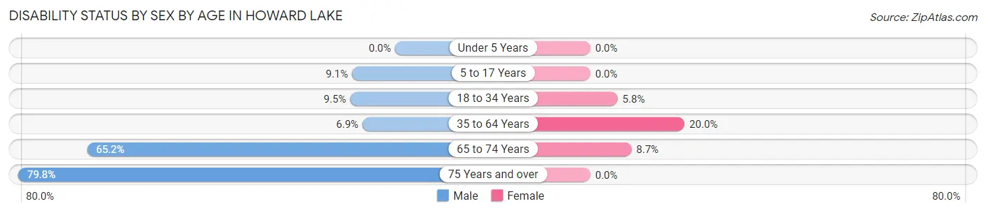 Disability Status by Sex by Age in Howard Lake