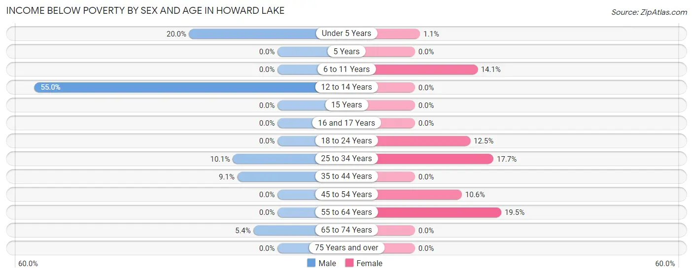 Income Below Poverty by Sex and Age in Howard Lake