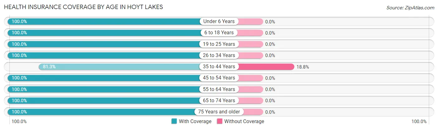 Health Insurance Coverage by Age in Hoyt Lakes