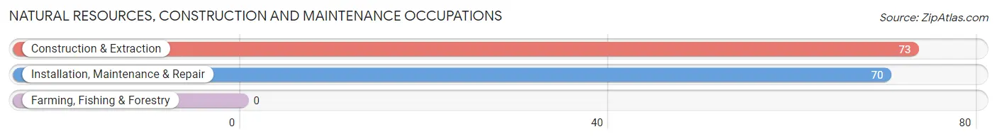 Natural Resources, Construction and Maintenance Occupations in Hoyt Lakes