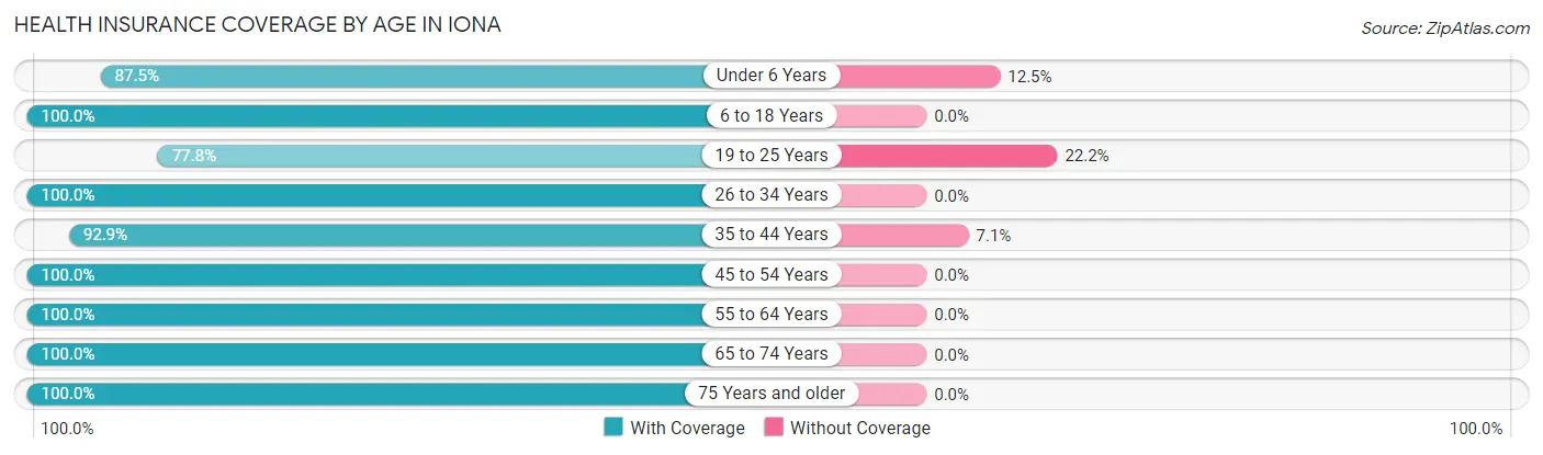 Health Insurance Coverage by Age in Iona