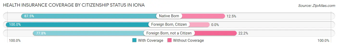 Health Insurance Coverage by Citizenship Status in Iona