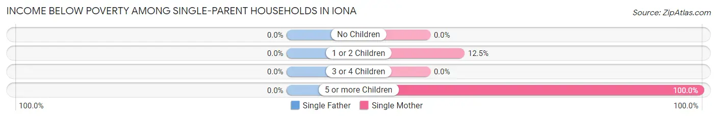 Income Below Poverty Among Single-Parent Households in Iona