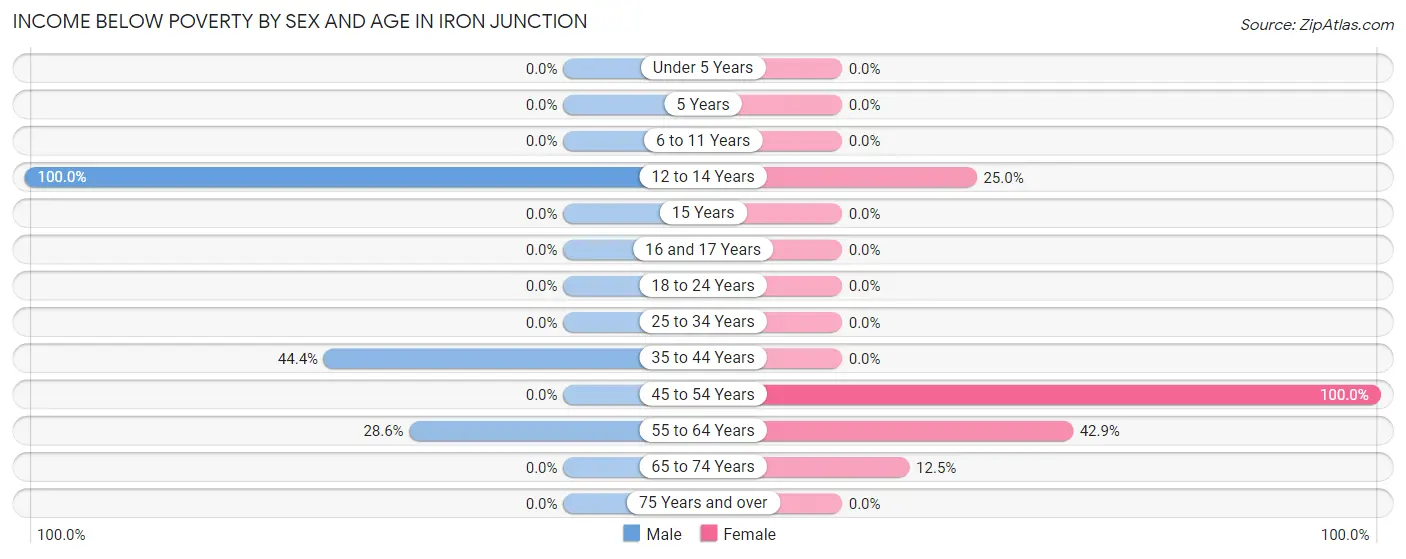 Income Below Poverty by Sex and Age in Iron Junction
