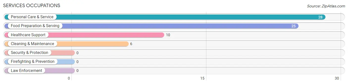 Services Occupations in Ironton