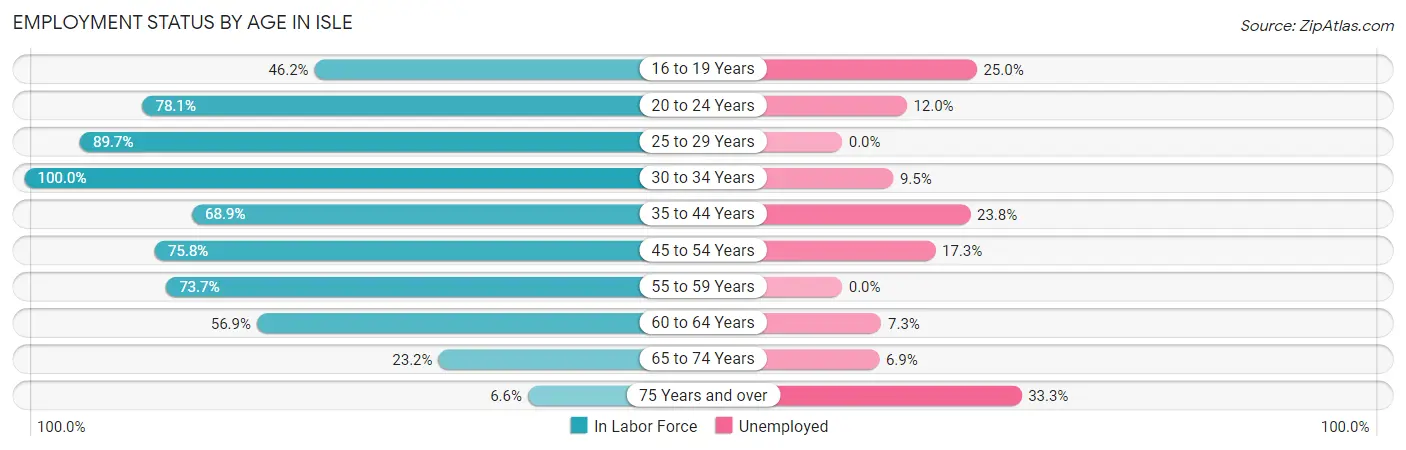 Employment Status by Age in Isle