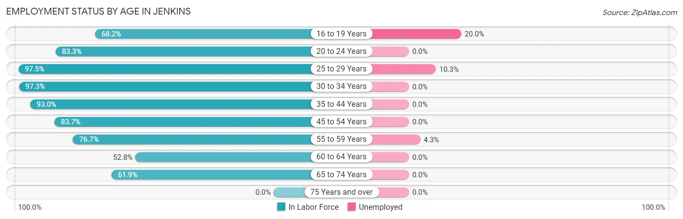 Employment Status by Age in Jenkins
