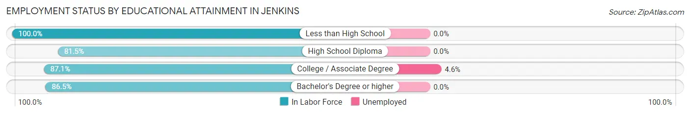 Employment Status by Educational Attainment in Jenkins