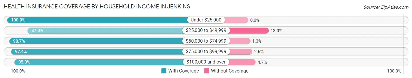Health Insurance Coverage by Household Income in Jenkins