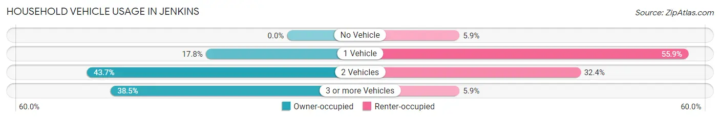 Household Vehicle Usage in Jenkins