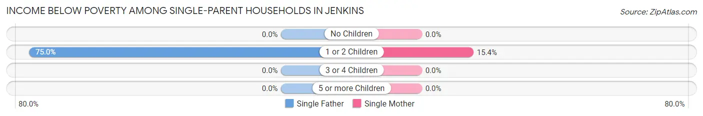 Income Below Poverty Among Single-Parent Households in Jenkins