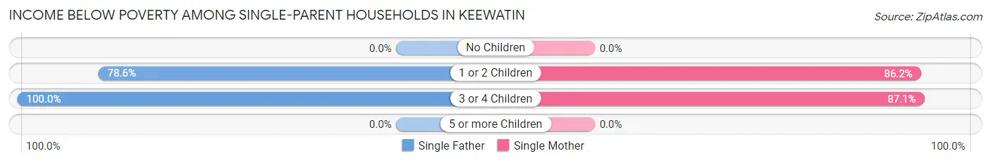 Income Below Poverty Among Single-Parent Households in Keewatin