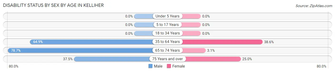Disability Status by Sex by Age in Kelliher