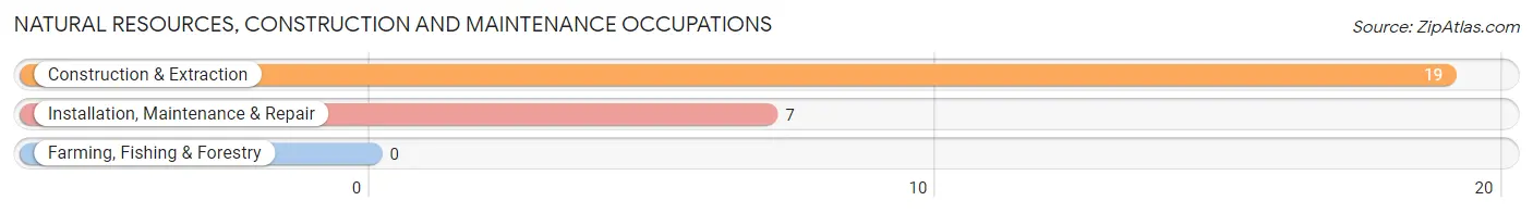 Natural Resources, Construction and Maintenance Occupations in Kellogg