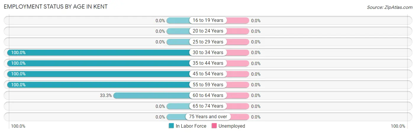 Employment Status by Age in Kent