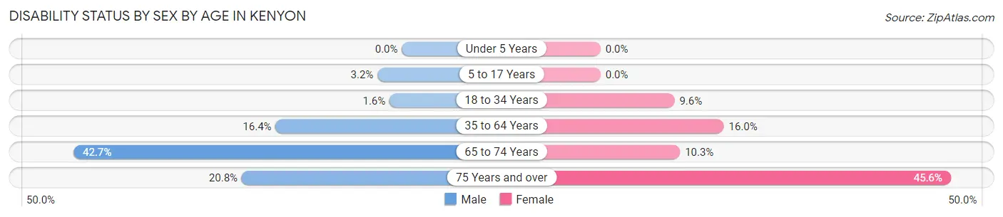 Disability Status by Sex by Age in Kenyon