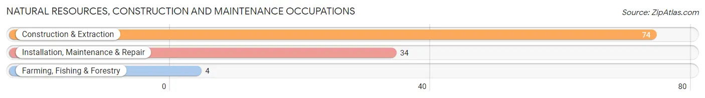 Natural Resources, Construction and Maintenance Occupations in Kenyon