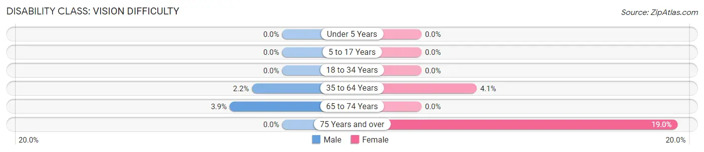 Disability in Kenyon: <span>Vision Difficulty</span>