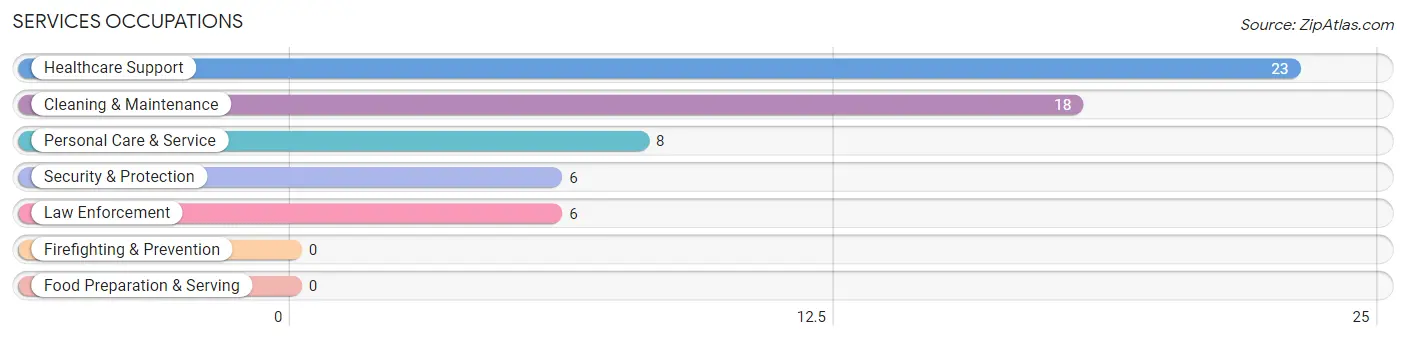 Services Occupations in Kerkhoven