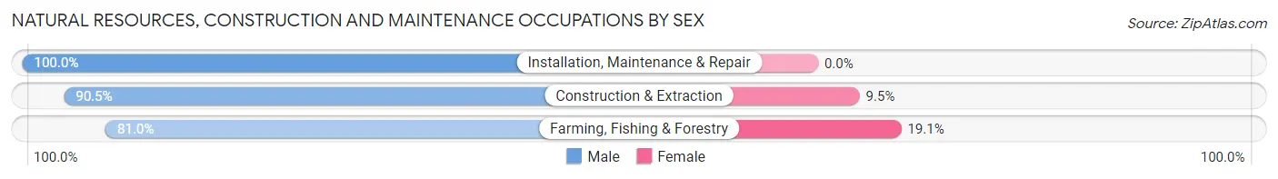 Natural Resources, Construction and Maintenance Occupations by Sex in Kiester