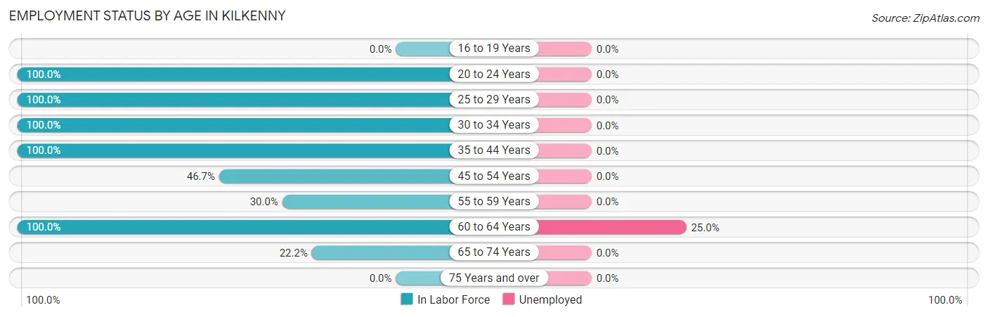 Employment Status by Age in Kilkenny