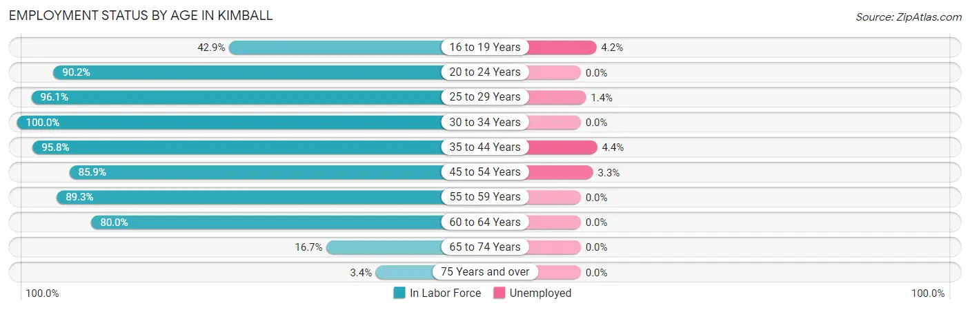 Employment Status by Age in Kimball