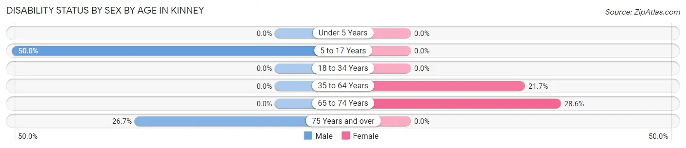 Disability Status by Sex by Age in Kinney